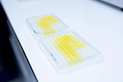 MAT performing a ELISA to quantify the Interleukin-6 (IL-6) secretion