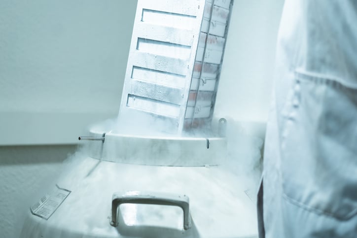 Rack with cells inside a liquid nitrogen cryogenic tank.