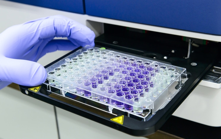 Scientist is putting 96 well micro plate into plate reader